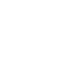 Event Security Icon