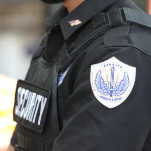 Vehicle Patrol Services