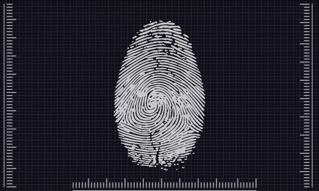 biometrics-4503187_1920 A digital scan of a fingerprint