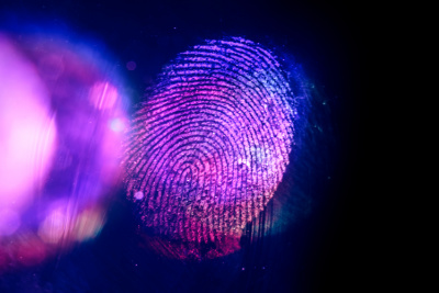 Background Checks in California: Why Live Scan and DMV History Matter for Your Business